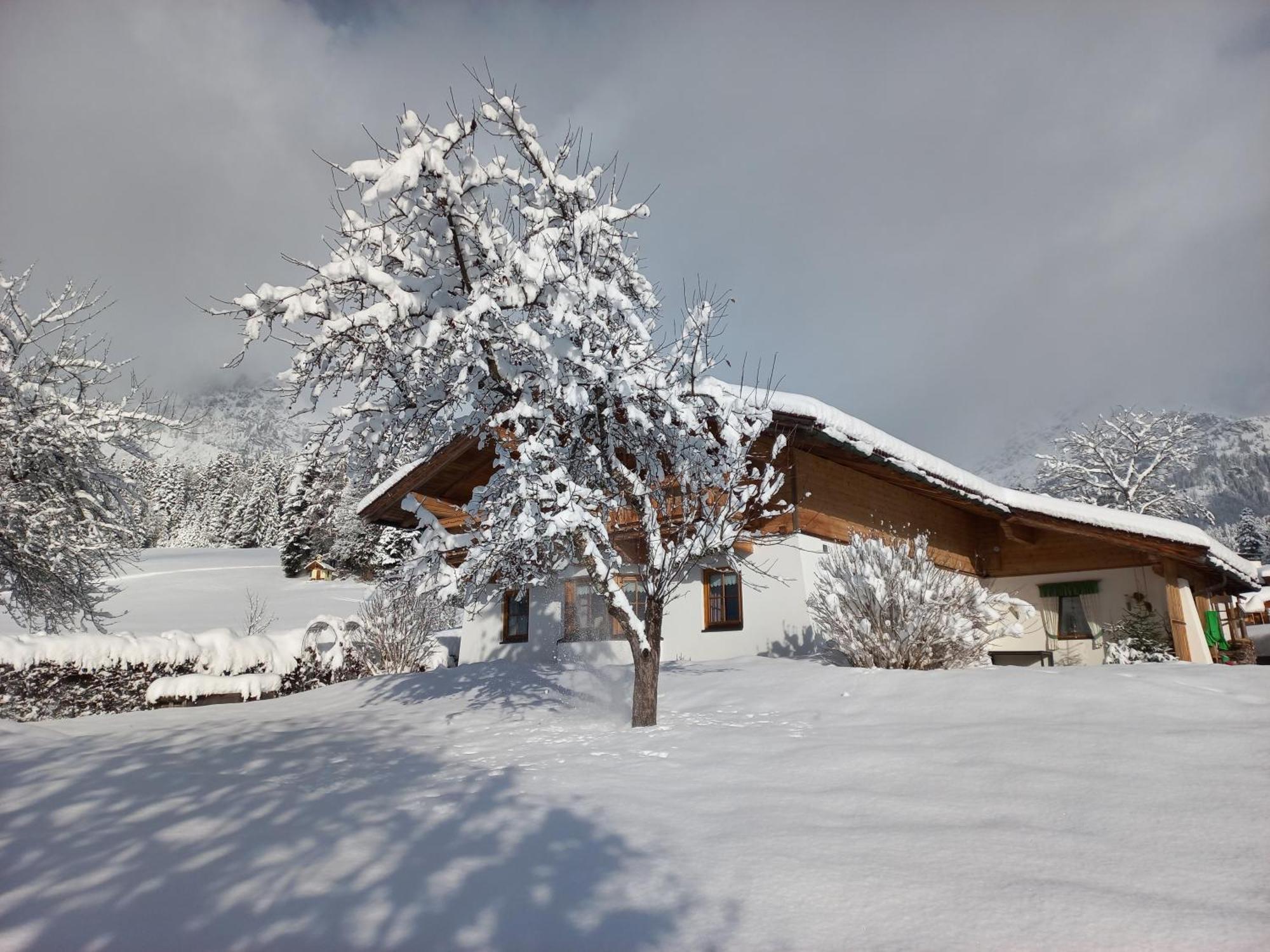 Chalet Gluecklich Sein... Ellmau Exterior photo